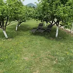 Dragon Visoko
