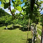 Dragon * Visoko