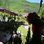 Dragon Vakantiehuis *