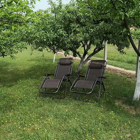 Dragon Dom wakacyjny *