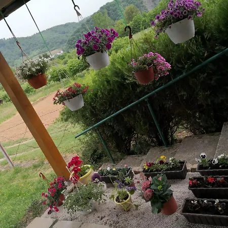 Dragon Dom wakacyjny *